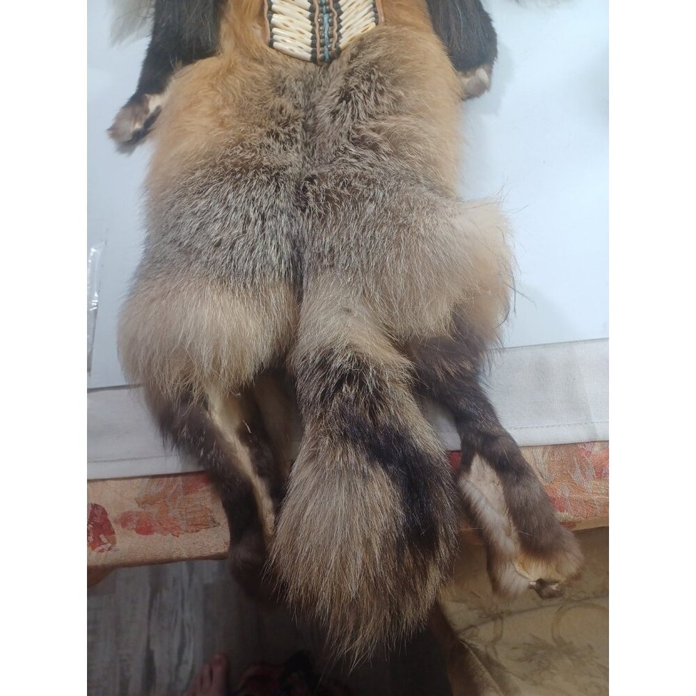 43" Native American La Ne Ayo Assiniboine Walking Wolf Cherokee Mask 1/100 - Picture 15 of 16